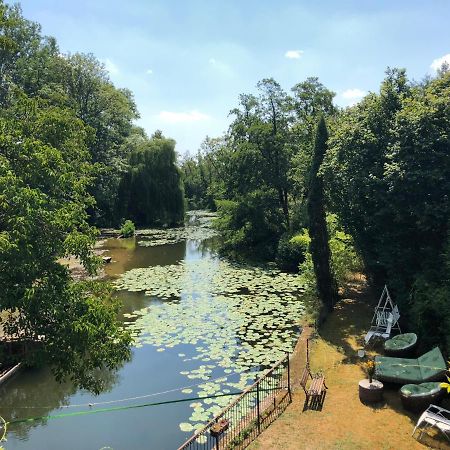 Magnifique Moulin Proche Chablis, Jacuzzi Et Riviere Villa Annay-sur-Serein Eksteriør bilde