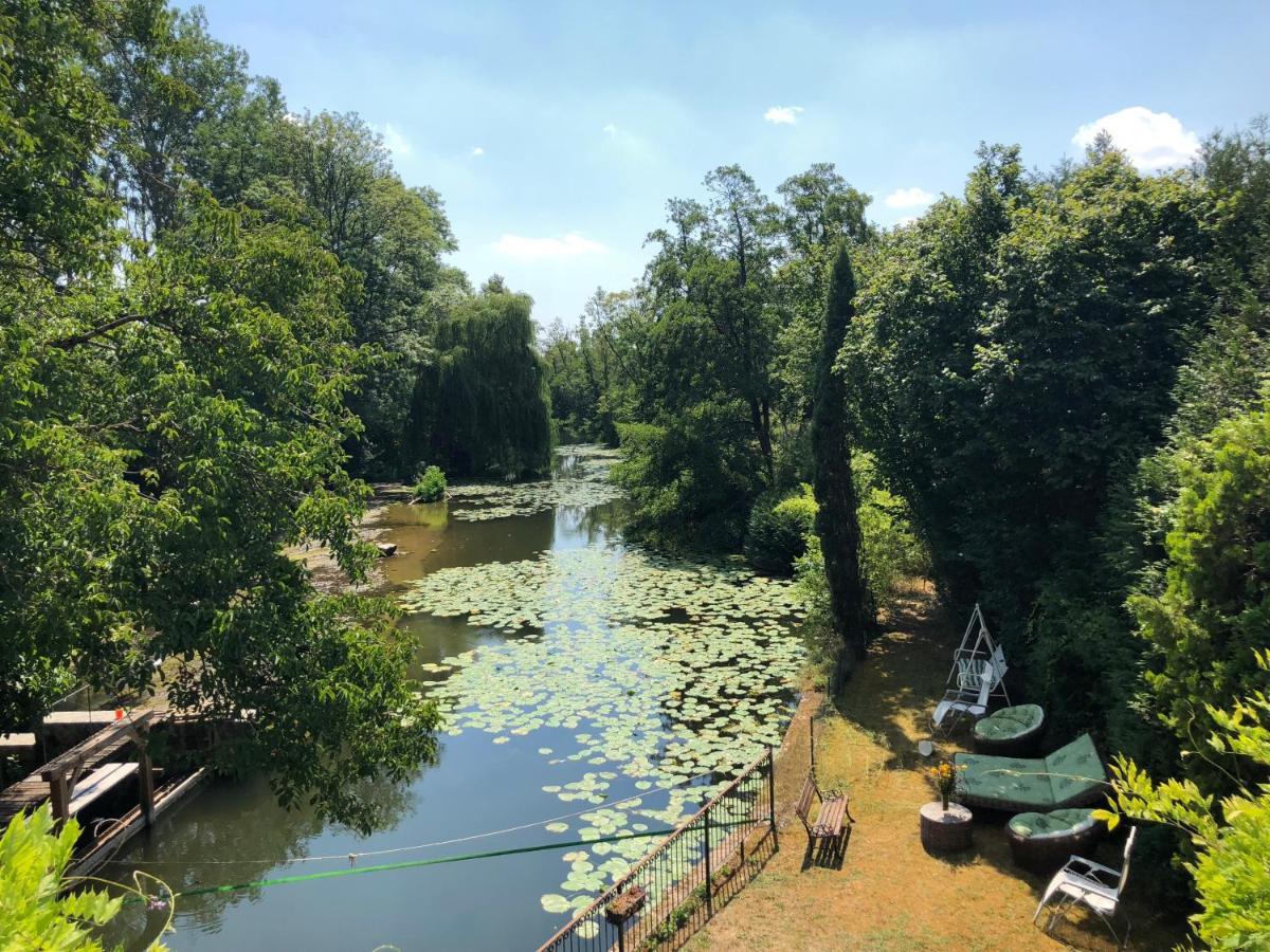 Magnifique Moulin Proche Chablis, Jacuzzi Et Riviere Villa Annay-sur-Serein Eksteriør bilde