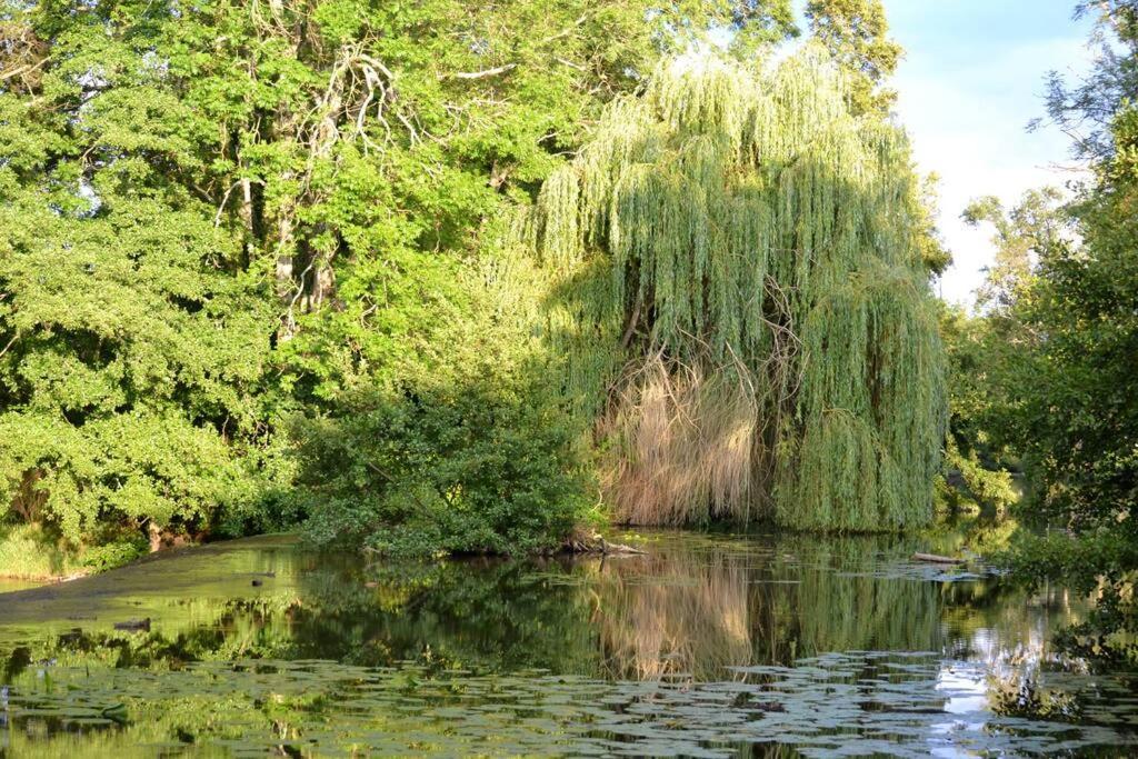 Magnifique Moulin Proche Chablis, Jacuzzi Et Riviere Villa Annay-sur-Serein Eksteriør bilde
