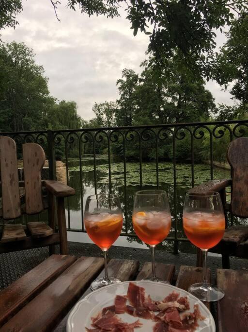 Magnifique Moulin Proche Chablis, Jacuzzi Et Riviere Villa Annay-sur-Serein Eksteriør bilde
