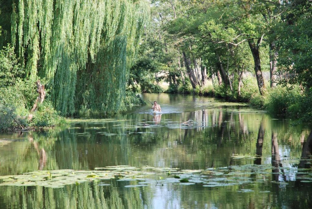 Magnifique Moulin Proche Chablis, Jacuzzi Et Riviere Villa Annay-sur-Serein Eksteriør bilde
