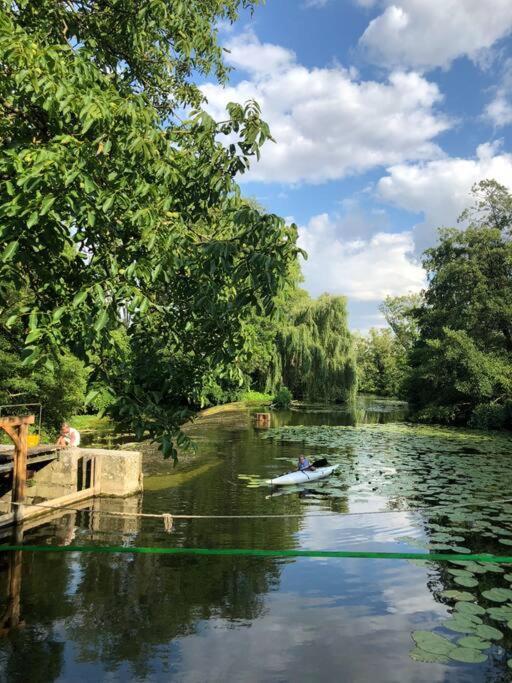Magnifique Moulin Proche Chablis, Jacuzzi Et Riviere Villa Annay-sur-Serein Eksteriør bilde
