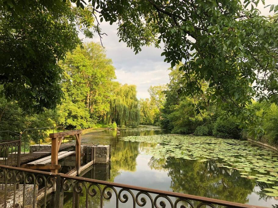 Magnifique Moulin Proche Chablis, Jacuzzi Et Riviere Villa Annay-sur-Serein Eksteriør bilde